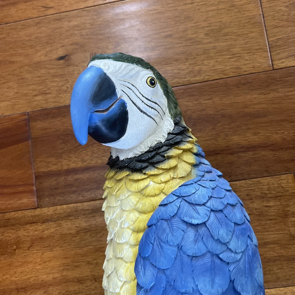 Scarletts parrot cheap supplies