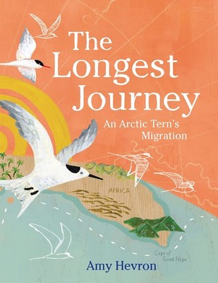 The Longest Journey: An Arctic Tern's Migration - hardcover Hevron, Amy