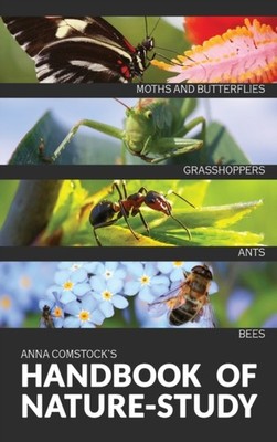 Comstock - Handbook Of Nature Study in Color - Insects - New hardback  - X555z