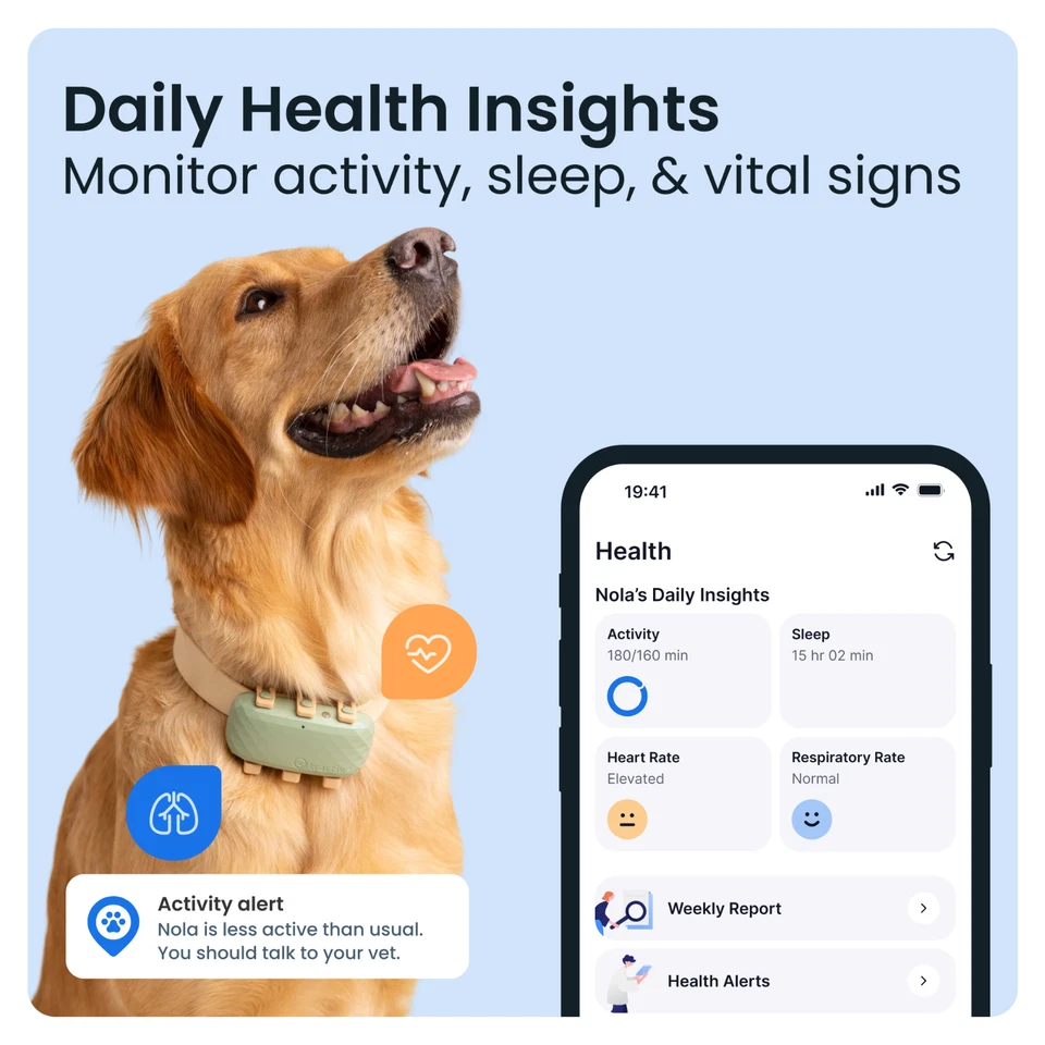Tractive DOG XL GPS Collar | Refurbished | Green | Trusted by Ben Fogle - Image 4 of 4