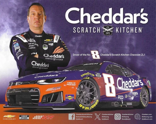 2026 KYLE BUSCH "CHEDDAR'S RCR" #8 NASCAR CUP SERIES POSTCARD
