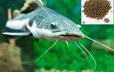 CZ Grain Premium Floating Fish Food Pellets  Pond or Lake Fish Food, Bring Fish