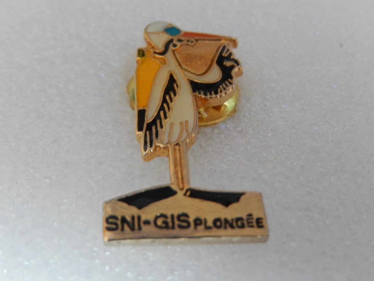 Pin's Rare Basket Pau Orthez – Collection Sport, Pin's Club Français
