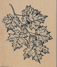 NORTHWOODS rubber stamp MAPLE LEAVES wood mounted