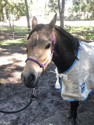 Ywv31wlxcs1vym Ywv31wlxcs1vym