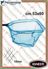 Testa Guadino Ignesti Maxi quadra cm53x60