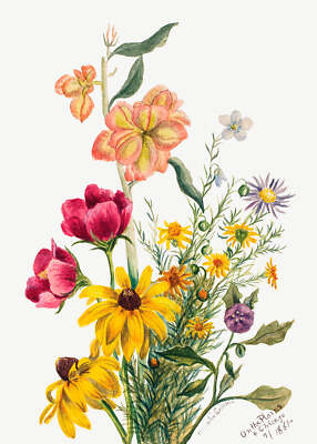 Botanical Plant Illustration - Group of Flowers II Art Print