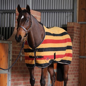 weatherbeeta sandown newmarket gold fleece cooler travel stable weatherbeeta stable sheet