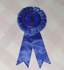 Vintage 80s Cabbage Patch Kid Show Pony plush horse Best Of Show Blue Ribbon CPK