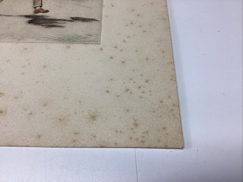 B8 ART PAPER ETCHING PHOTOGRAVURE TENNIS PLAYER COLOR BERDANIER ARTIST TREES - Picture 7 of 14