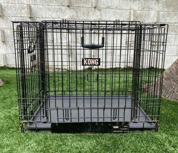 kong pet crate