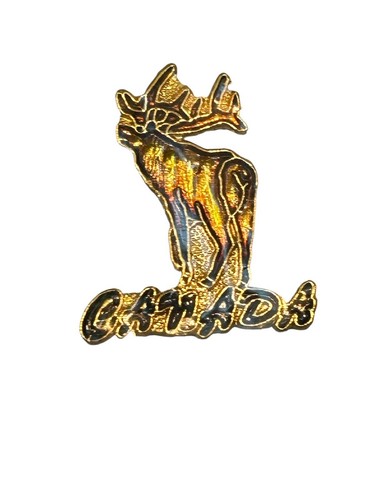 Flora Y Fauna Del Parque Nacional Voyageurs Archivi - Un Mondo Ecosostenibile - Foto 8