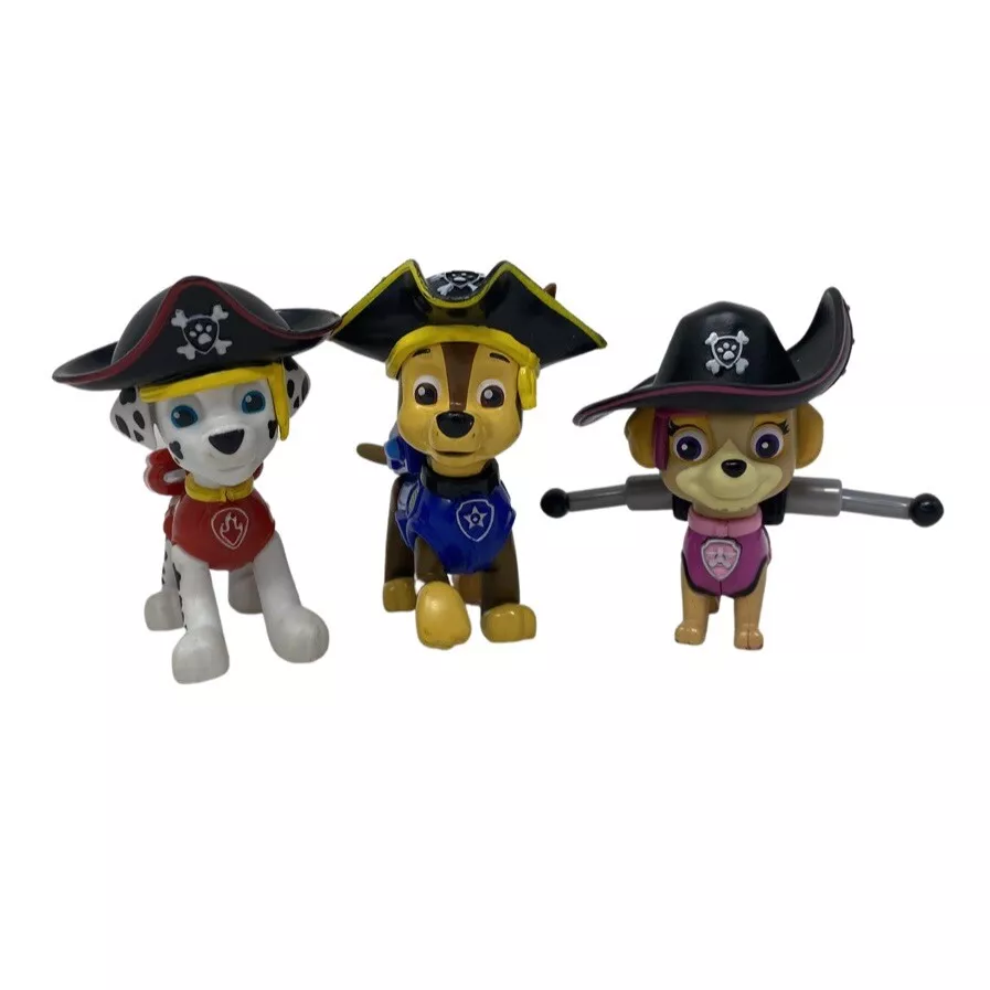 Sky chase 2024 paw patrol