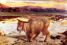 1854 - 1856 SCAPEGOAT GOAT PAINTING BY WILLIAM HUNT  REPRODUCTION