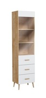 BüCherregal Vitrine Vitrinenschrank Glasschrank Regal Holz Schrank BüCherschrank