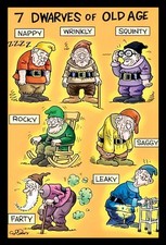 BGM 7 Dwarves Of Old Age Farty Leaky Nappy  3x4"  Refrigerator Fridge MAGNET