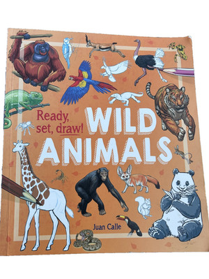 Ready, Set, Draw!: Wild Animals - Paperback By Calle, Juan - VERY GOOD