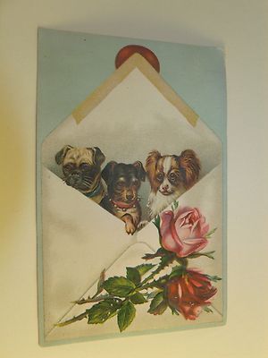 Embossed Victorian Trade Card Letter with Three Adorable Dogs Inside, Roses 