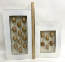 TWO Egg Shadow Boxes Made from 18 Real Hen Eggs