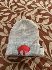 Buffalo Bills Beanie Hat Gray 47 Brand Winter NFL Football