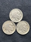 1929 P, D & S Buffalo Nickels 3 Coin Set