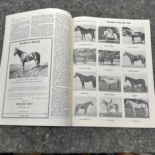 Jan, 21 1972 The Chronicle of the Horse -"American Eclipse.." Vol XXXV #23 - Picture 12 of 16