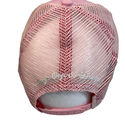 Bio-Domes Rare Betty Boop Pink Embroidered Salesman Sample Snapback Hat s-l400.jpg main image 2