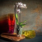 Bild 9 von 12