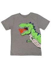 Toddler Boys Gray Dinosaur Feed Me Tee Shirt T-Rex T-Shirt 5T