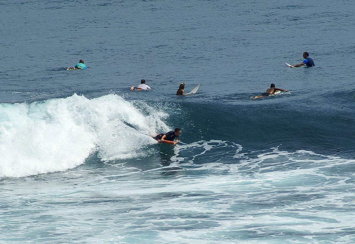 CONTOUR SURF Reed Body Board 83 cm Bodyboard per spiaggia