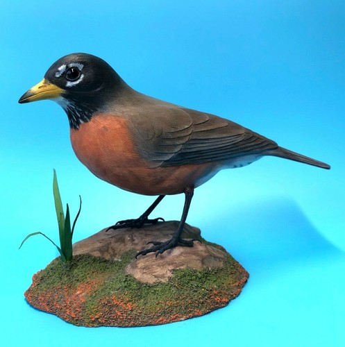 Birdhug Studio American Robin Song Bird Decoy Wood Carving Lifesize 9" Signed