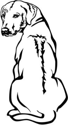 RHODESIAN RIDGEBACK Aufkleber - Ridgeback Autoaufkleber - sticker - Kontur#51 - Bild 1 von 3