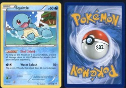 Squirtle 29/149 Common - Boundaries Crossed