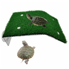 Turtle Resting Basking Platform Simulation Grass Turtle Ramp Tortoise Climbing L