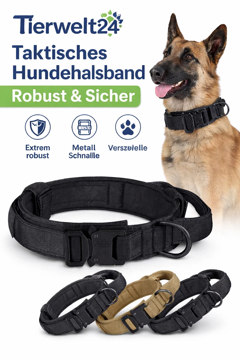 Hundehalsband Metall online kaufen | eBay.de