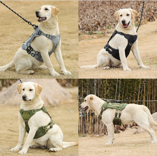 Gilet di controllo regolabile senza pull cane imbracatura per animali domestici cani S M - Foto 5 di 26