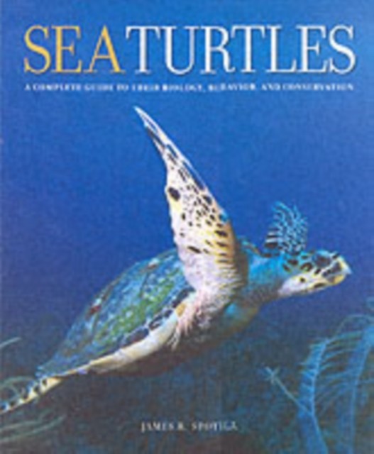 Sea Turtles by James R.  Spotila (Hardback Book) - Image 5