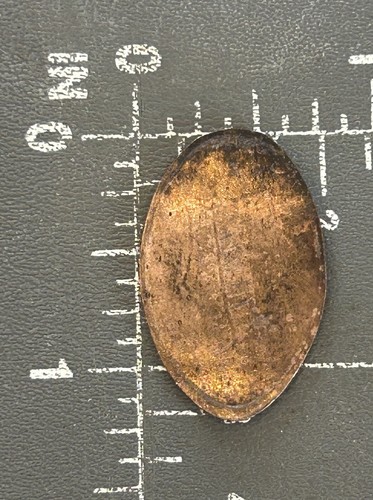 San Diego Zoo Giraffe California Elongated Pressed Smashed Squished Flat Penny - 第 2/2 張圖片