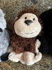 Bild 5 von 11