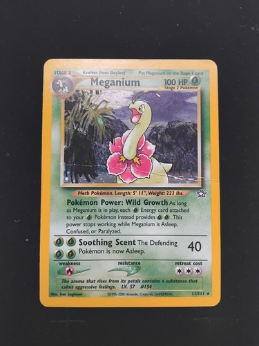 Meganium (10) — Neo Genesis
