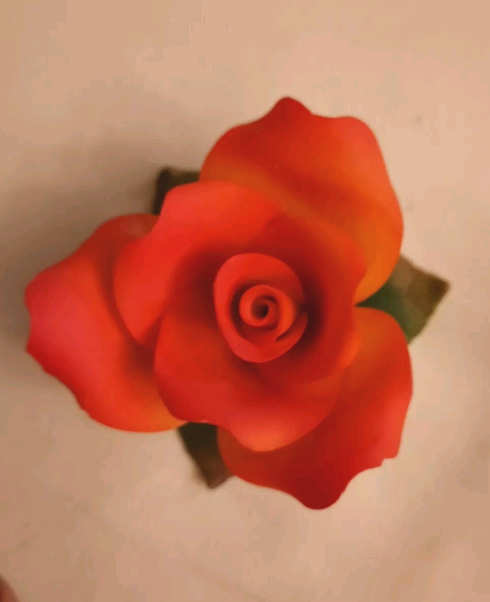 Bild 7 von 7