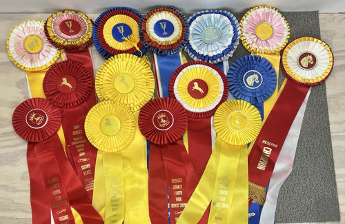 15 Horse Show Ribbons 1993 World Championship Morgan Gold Cup Blue Red Yellow - Bild 13 von 15