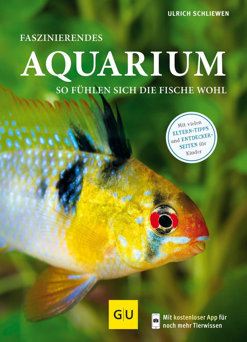 Thumbnail - Faszinierendes Aquarium Ulrich Schliewen
