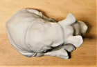 Picture 18 of 22