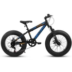 V20235 20 Inch Fat Tire Bike 7 Speed Mountain Bike, Dual Disc Brakes, High Carbo
