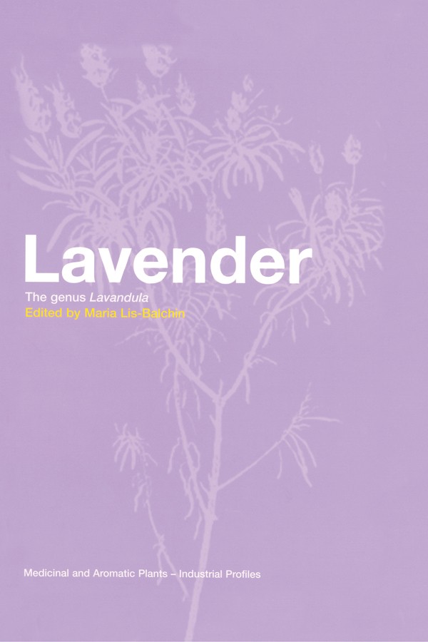 Lavender