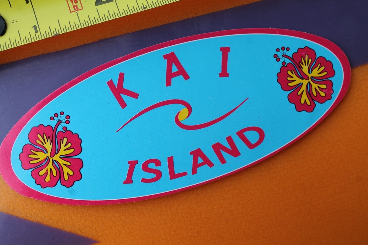 Kai Island Hawaii Aloha Girls Flower Blue Pink Rare V23A Vintage