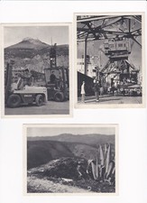 3 C.P.:  EN  F.M. (Franchise Militaire). Format: 10,5 X 14 cm.  D' ALGERIE.