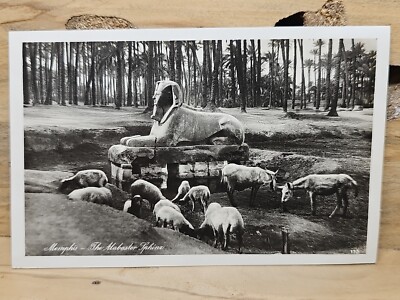 Memphis Egypt The Alabaster Sphinx Unposted RPPC Sheep & Mule A703
