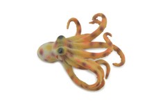 Toy Octopus, Colorful Hand Painted, Rubber, Realistic Figure 4.5" CH577 BB163